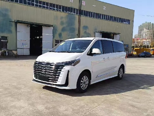 大通G10 自動(dòng)擋檢測(cè)車(chē)（商務(wù)版）