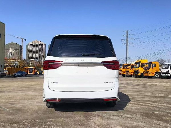 大通G10 自動(dòng)擋檢測(cè)車(chē)（商務(wù)版）